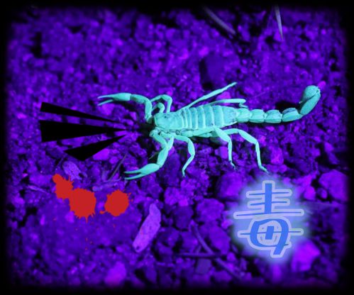 毒やカビ